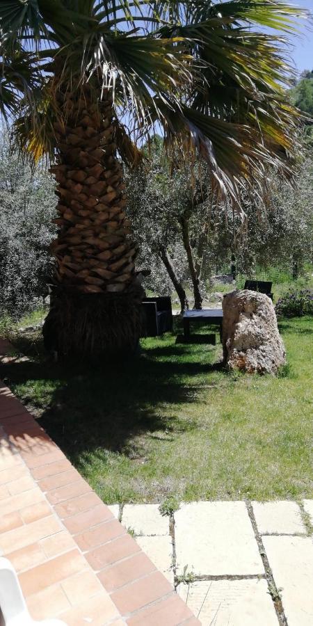 Casa Alessia Villa กัลตานิสเซตตา ภายนอก รูปภาพ